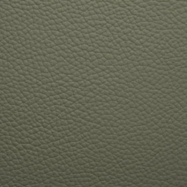 Thyme Green Leather Colour